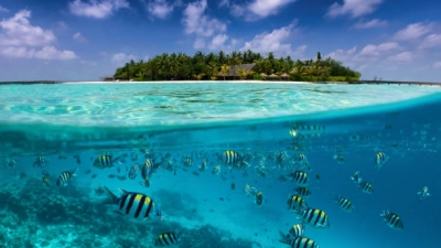 croisiere-aux-maldives-du-08-au-15-mai-20222022-05-08