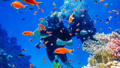 sejour-mer-rouge-sud-de-l-egypte-a-marsa-shagra2023-05-06